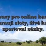 Bonusy pro online kasino zahrnují sloty, živé hry a sportovní sázky.