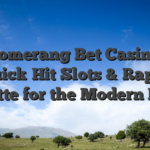 Boomerang Bet Casino – Quick‑Hit Slots & Rapid Roulette for the Modern Player