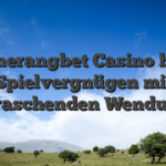 Boomerangbet Casino bietet Spielvergnügen mit überraschenden Wendungen