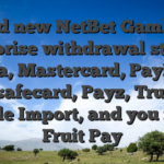 Brand new NetBet Gambling enterprise withdrawal steps is Visa, Mastercard, PayPal, Paysafecard, Payz, Trustly, Cable Import, and you may Fruit Pay