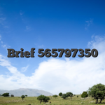 Brief 565797350