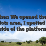 But when We opened the fresh new slots area, I spotted a new side of the platform