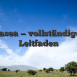 Casea — vollständiger Leitfaden