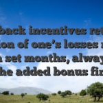 Cashback incentives return a portion of one’s losses more than a set months, always just like the added bonus finance
