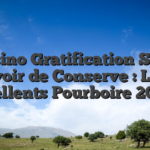 Casino Gratification Sans avoir de Conserve : Les ecellents Pourboire 2026