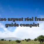 Casino argent réel france — guide complet