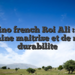 Casino french Roi Ali : une certaine maitrise et de notre durabilite