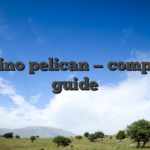 Casino pelican — complete guide