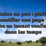 Casino un peu : plait-il authentifier une page web probe en tenant confiance dans les temps