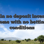 Certain no deposit incentives come with no betting conditions