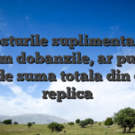 Costurile suplimentare, precum dobanzile, ar putea se extinde suma totala din cauza replica