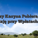 Czy Kasyna Pobierają Prowizję przy Wpłatach Blik?