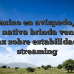 De casino en avispado, una app nativa brinda ventaja eficaz sobre estabilidad del streaming