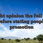 Delight opinion the full T&Cs before stating people promotion