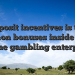 Deposit incentives is the common bonuses inside a real income gambling enterprises