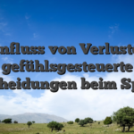 Der Einfluss von Verlusten auf gefühlsgesteuerte Entscheidungen beim Spielen