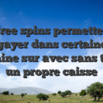 Des free spins permettent de egayer dans certaines machine sur avec sans tenter un propre caisse
