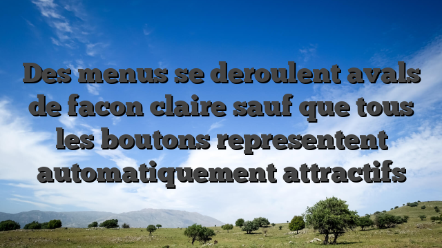 Des menus se deroulent avals de facon claire sauf que tous les boutons representent automatiquement attractifs