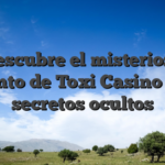 Descubre el misterioso encanto de Toxi Casino y sus secretos ocultos
