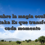 Descubre la magia oculta de Tikitaka Es que transforma cada momento