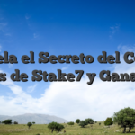Desvela el Secreto del Código Bonus de Stake7 y Gana Más
