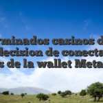 Determinados casinos deben una decision de conectarse a traves de la wallet Metamask