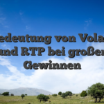 Die Bedeutung von Volatilität und RTP bei großen Gewinnen