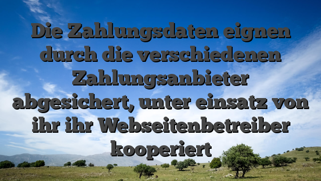 Die Zahlungsdaten eignen durch die verschiedenen Zahlungsanbieter abgesichert, unter einsatz von ihr ihr Webseitenbetreiber kooperiert