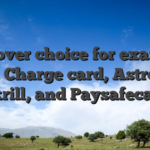 Discover choice for example Visa, Charge card, AstroPay, Skrill, and Paysafecard