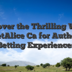 Discover the Thrilling World of BetAlice Ca for Authentic Betting Experiences