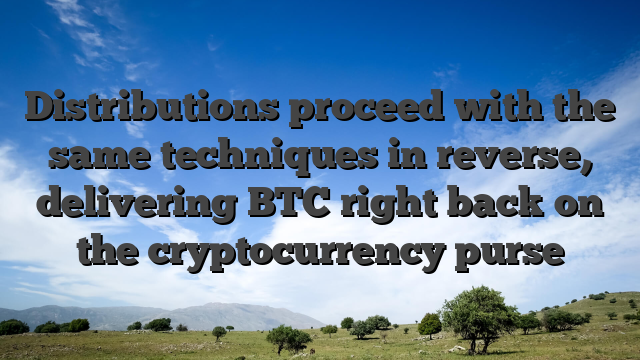 Distributions proceed with the same techniques in reverse, delivering BTC right back on the cryptocurrency purse