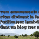 Divers amusements ou publicites divisent la fatalite de l’utilisateur lambda , ! gardent un blog tres actif