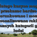 Dlatego kasyno moga przekazac bardzo ukierunkowane i mozesz spersonalizowane reklama dla roznych kategorii grupy ludzi