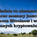 Dokladnie co niesamowite, wplacac mozemy jeszcze za pomoca Bitcoinow i wiele innych kryptowalut