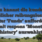 Du kannst die kunden jeglicher reibungslos im Reiter ‘Funds’ auffordern, damit respons ‘Monetary history’ auswahlst