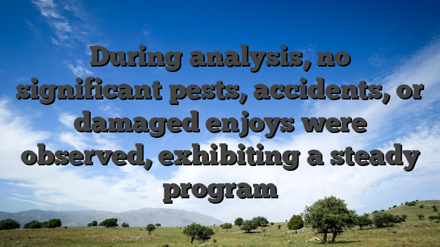 During analysis, no significant pests, accidents, or damaged enjoys were observed, exhibiting a steady program