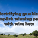Electrifying gambles: Accomplish winning payouts with wise bets