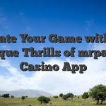 Elevate Your Game with the Unique Thrills of mrpacho Casino App