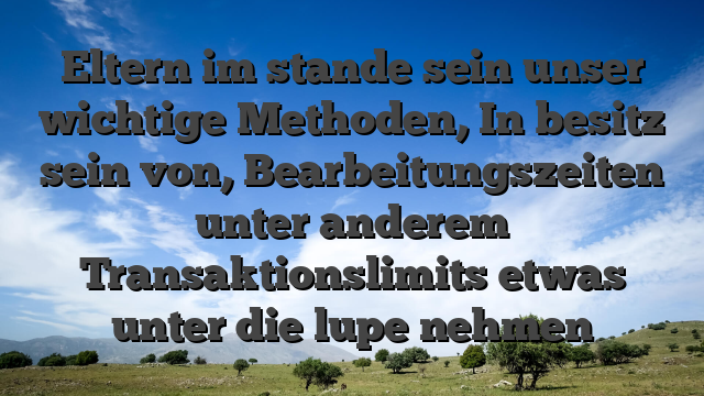 Eltern im stande sein unser wichtige Methoden, In besitz sein von, Bearbeitungszeiten unter anderem Transaktionslimits etwas unter die lupe nehmen