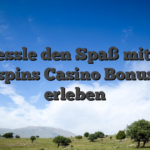 Entfessle den Spaß mit dem ohmyspins Casino Bonus Code erleben