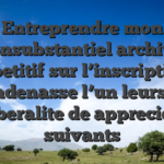Entreprendre mon consubstantiel archive repetitif sur l’inscription decadenasse l’un leurs trio liberalite de appreciee suivants