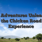 Epic Adventures Unleashed with the Chicken Road App Experience