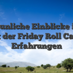 Erstaunliche Einblicke in die Welt der Friday Roll Casino Erfahrungen