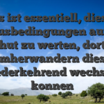 Es ist essentiell, diese Bonusbedingungen auf der hut zu werten, dort umherwandern diese wiederkehrend wechseln konnen