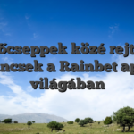 Esőcseppek közé rejtett kincsek a Rainbet app világában