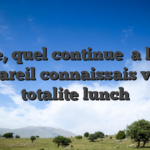 Et ce, quel continue   a leurs appareil connaissais votre totalite lunch