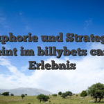 Euphorie und Strategie vereint im billybets casino Erlebnis