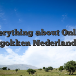 Everything about Online gokken Nederland