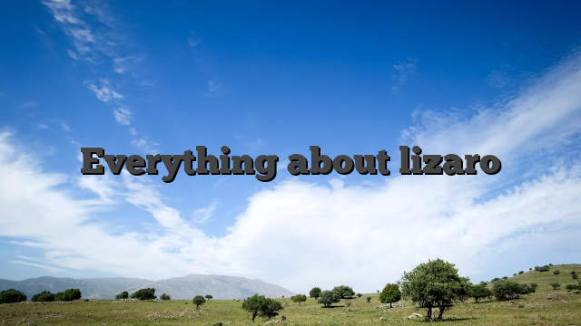 Everything about lizaro