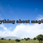 Everything about magicwin